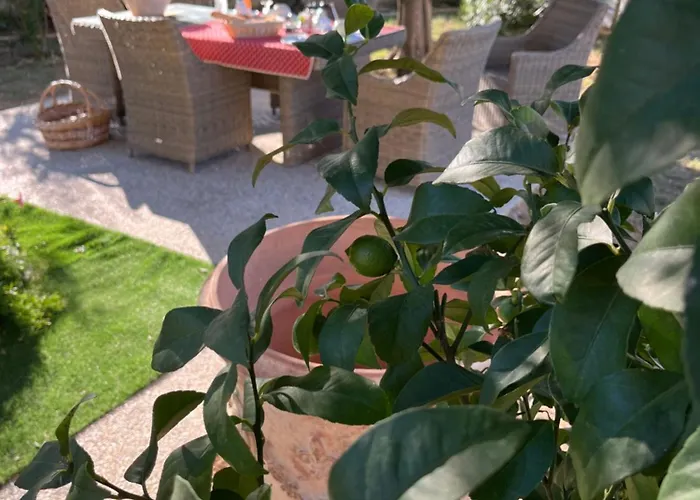 Le Clos Jasmin Bed & Breakfast Boisseron